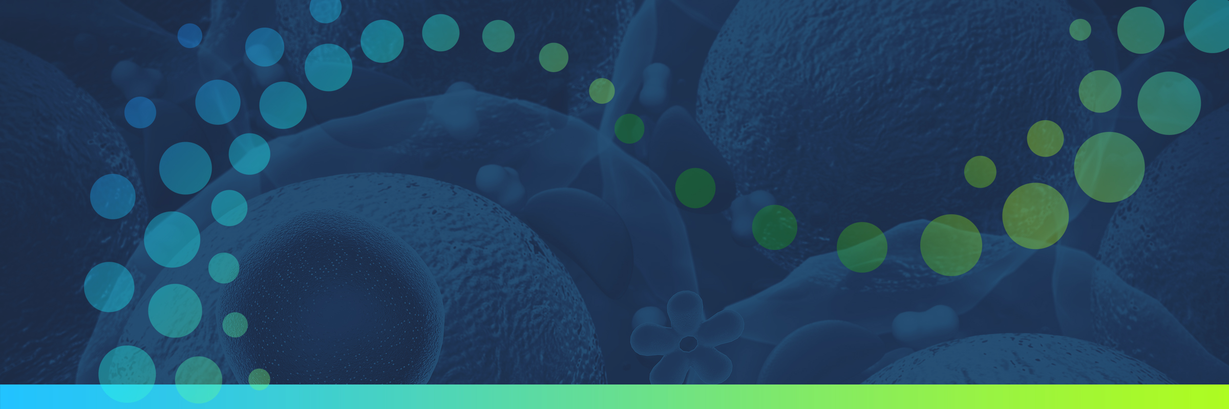 Home Diabetic Health and Wellness